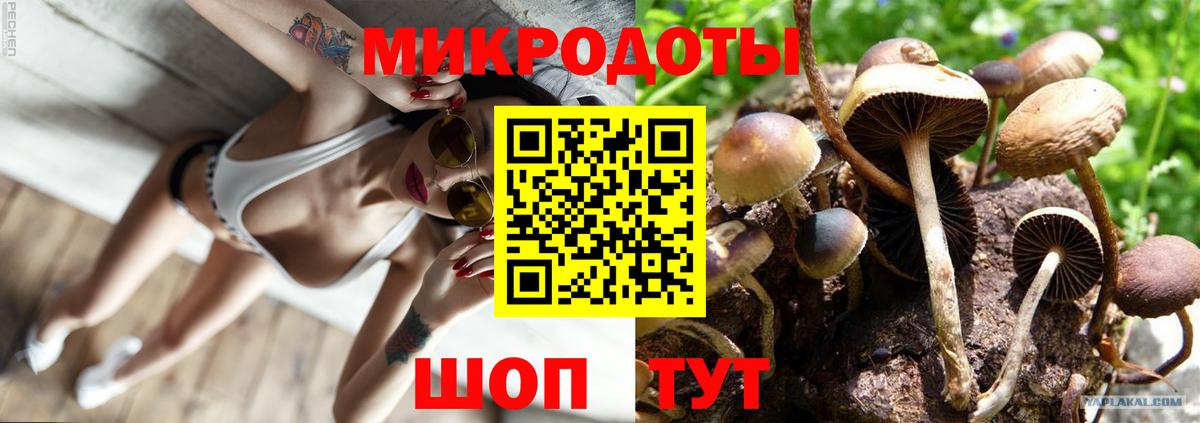 Псилоцибиновые грибы Psilocybe  Галлюциногенные грибы Psilocybine cubensis  Кушва  Вход с VPN 